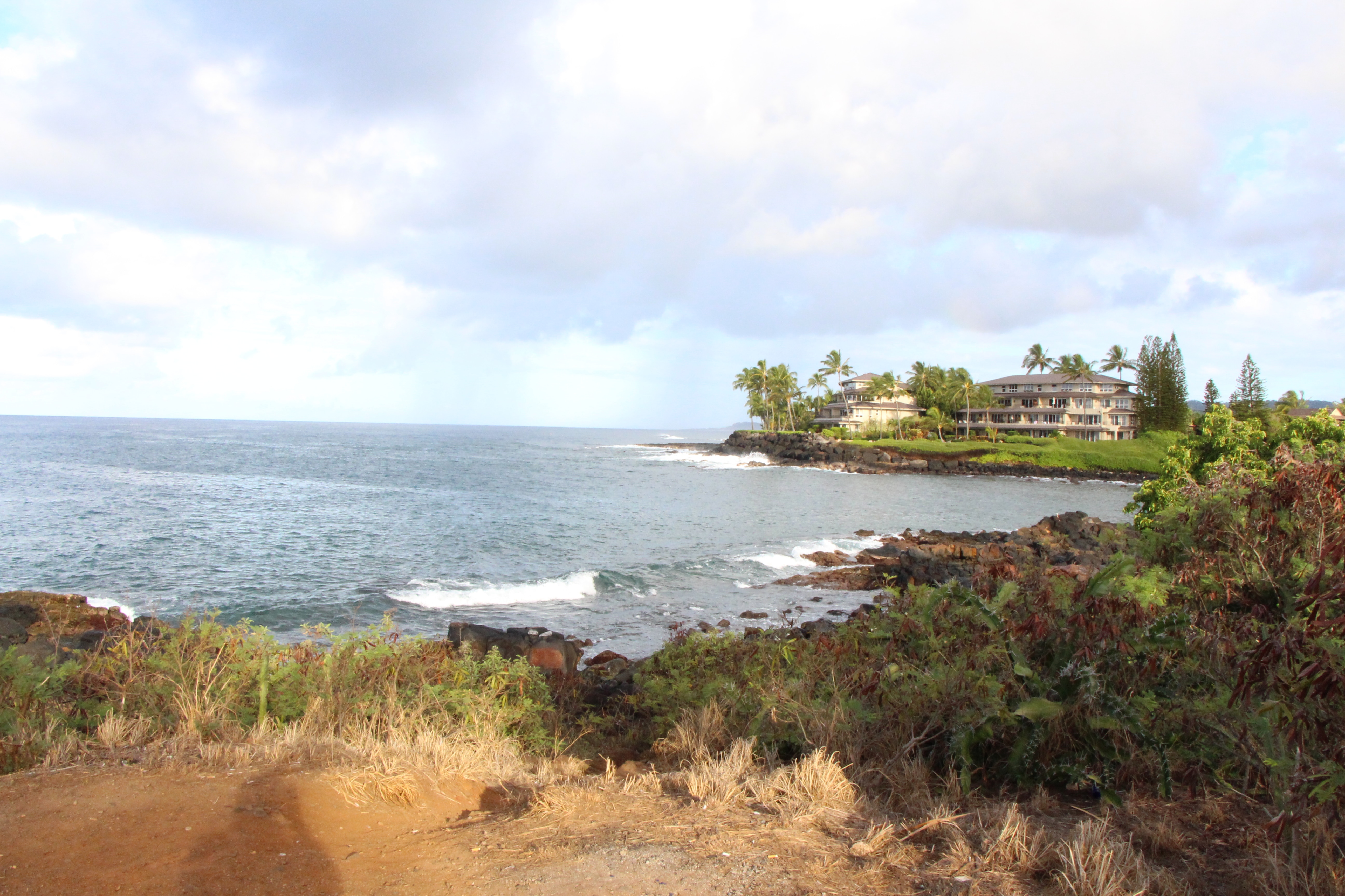 MLM Recruiting Series: Day 1 from Kauai – Product or Opportunity?